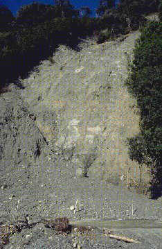 Landslide Across A Road Near Jackson (Don Hadden hadden@ihug.co.nz Copyright ©)